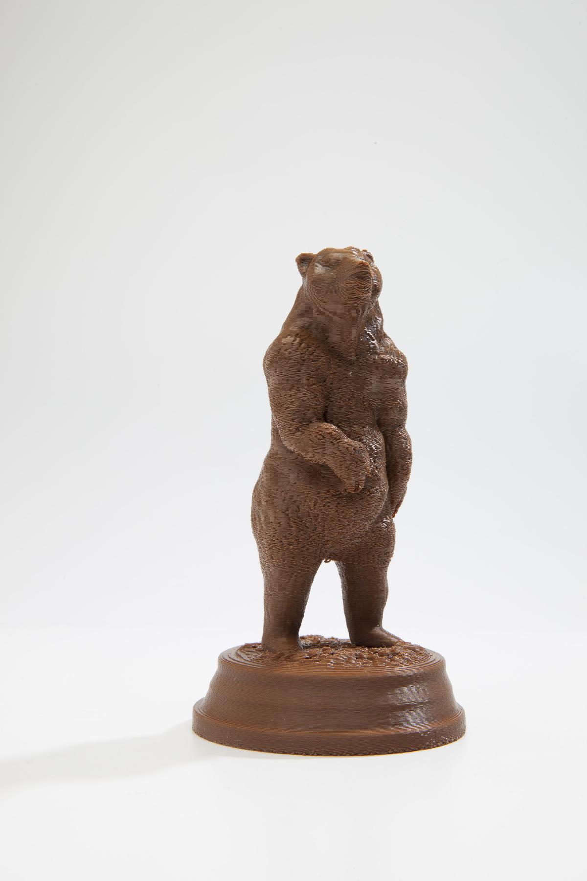 Urso pardo (Ursus arctos) 
