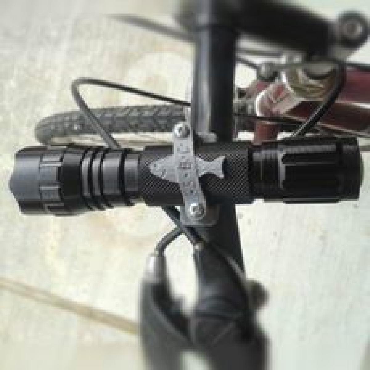 Ciclo de Luz Seabass