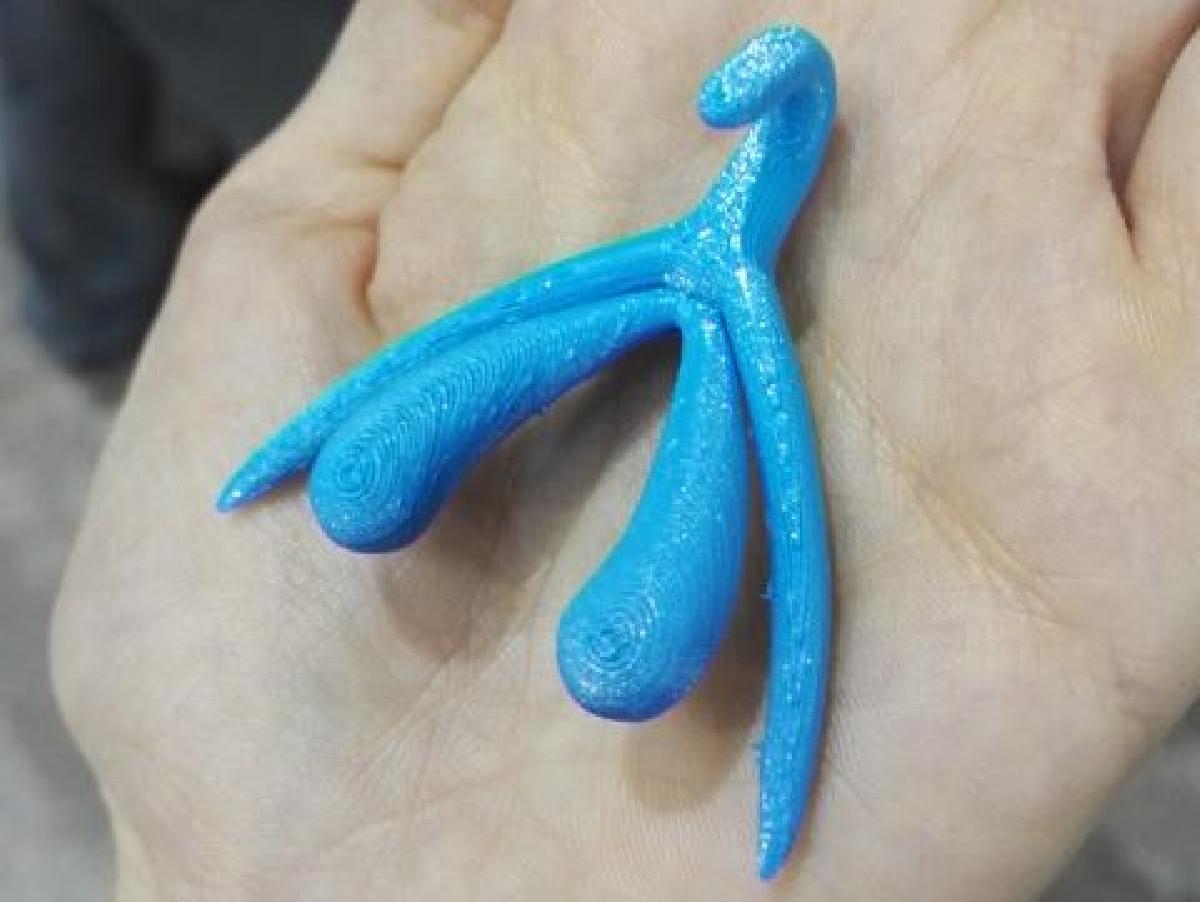 Clitoris