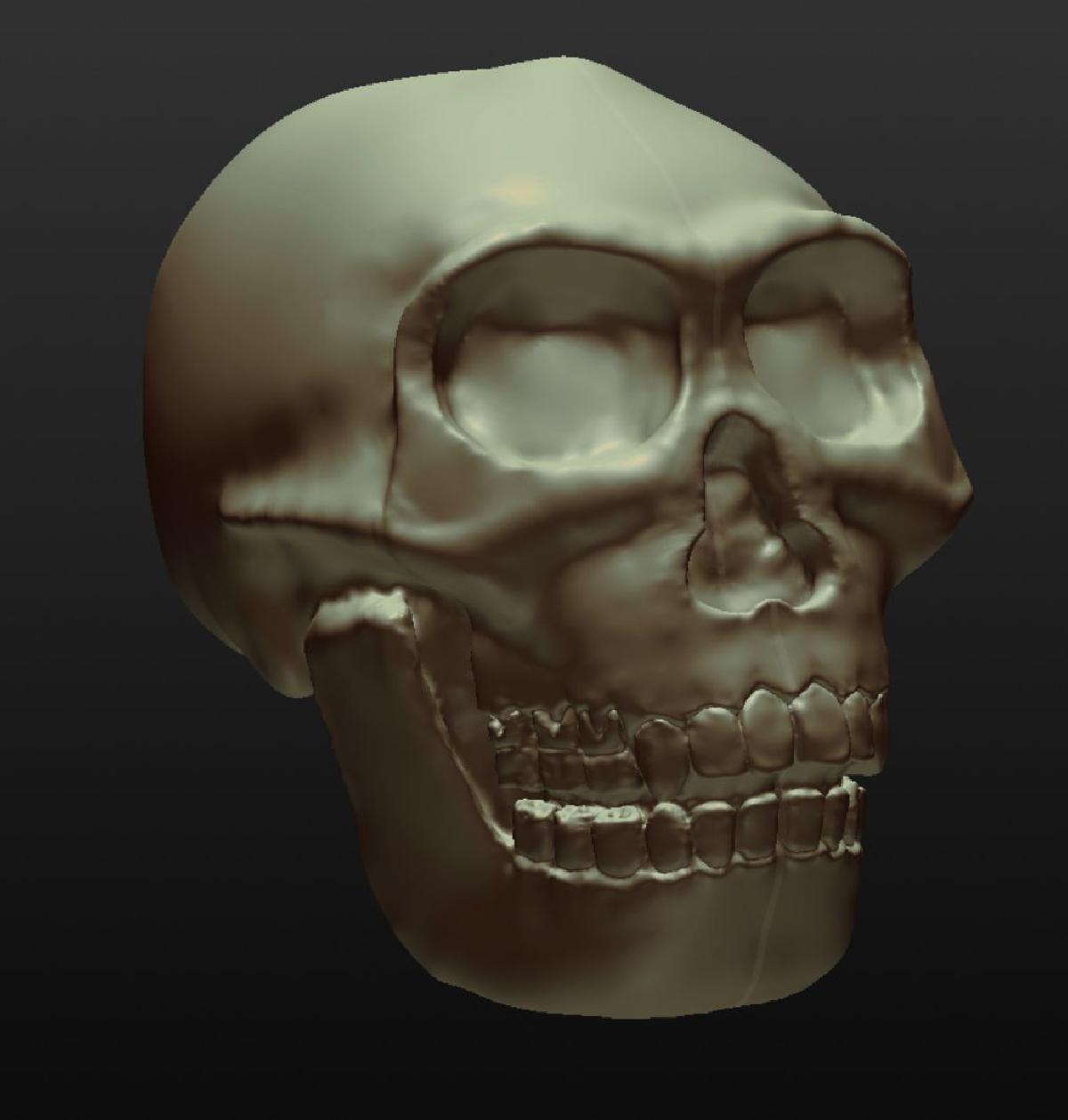 Georgia o Homo Erectus Georgicus