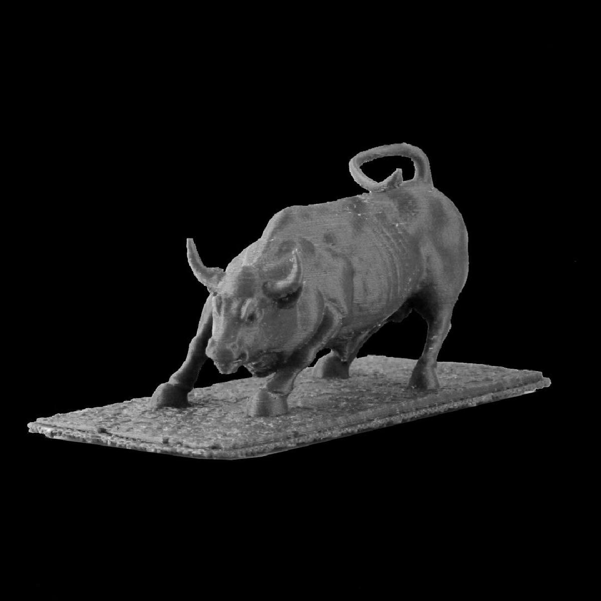Wall Street Bull, Nova Iorque