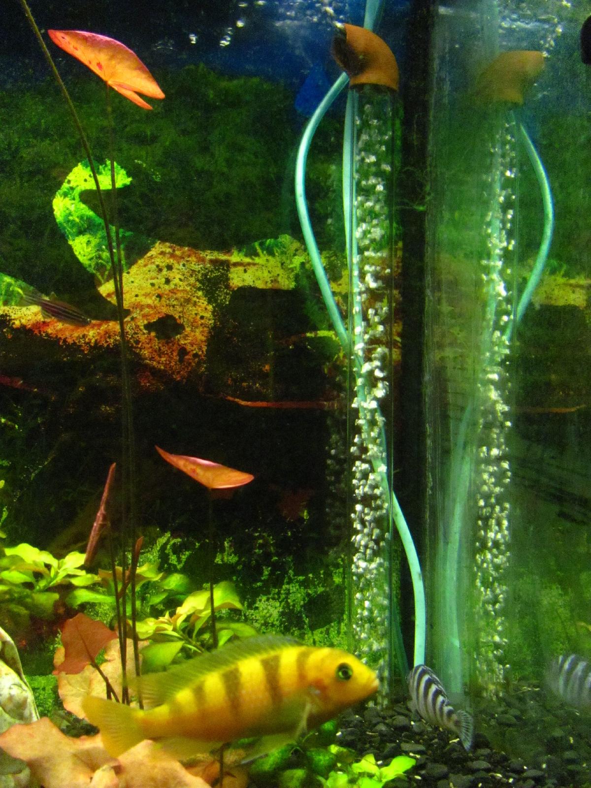 Filtro subterraneo de elevacao de ar imprimivel