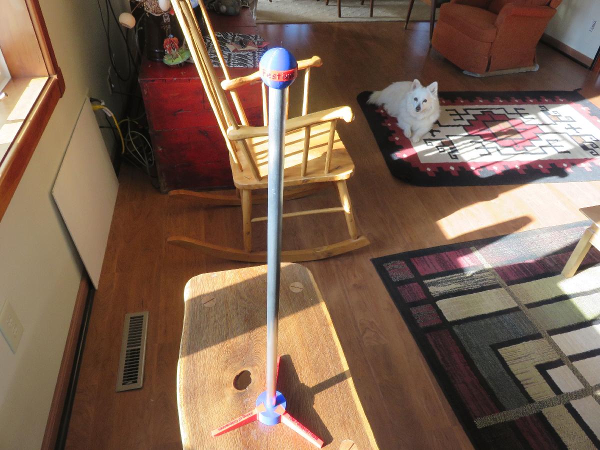 Polo de Festivus com Principios