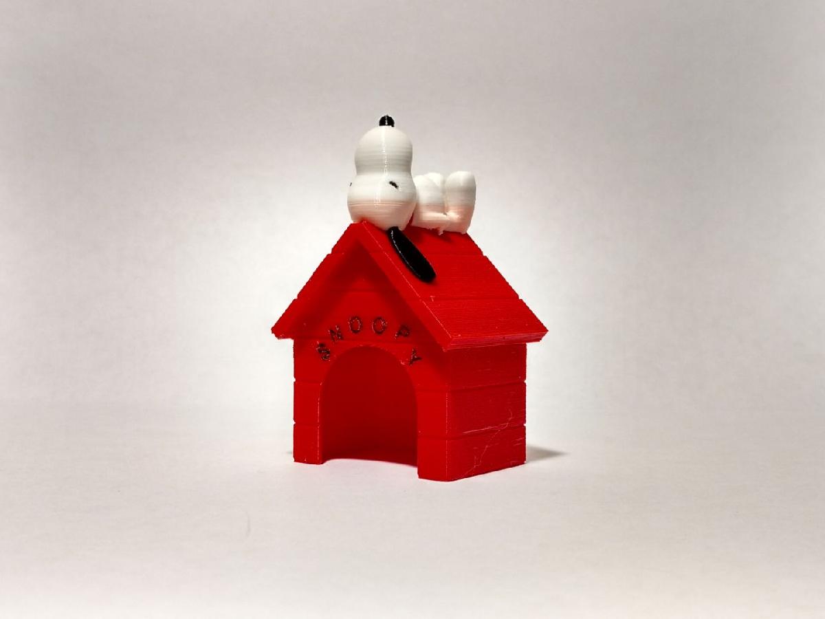 Snoopy MMU