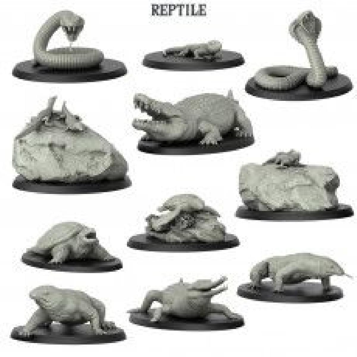 reptile