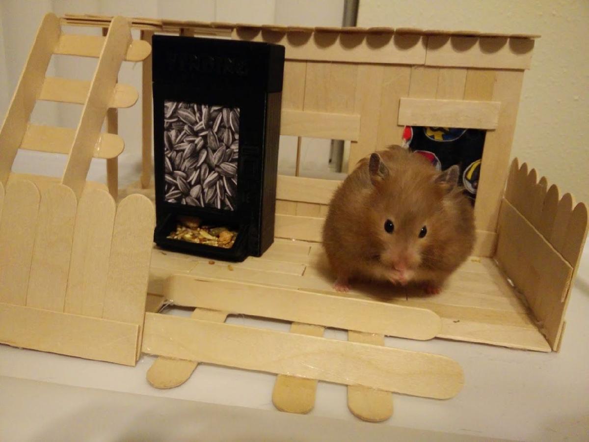 Maquina de Venda de Hamsters (Alimentador do Tamanho de Hamster Sirio)