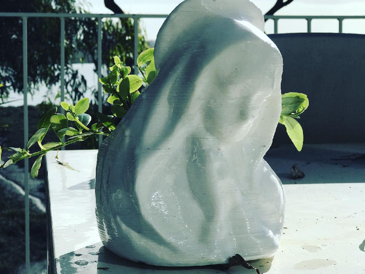 Mary (Vaso de Planta Interna)