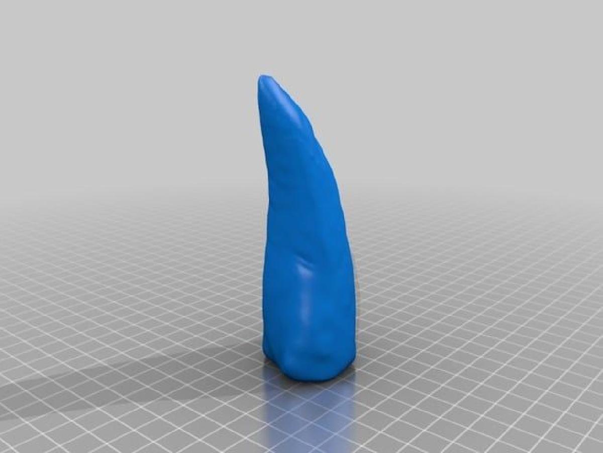 Dente de Tiranossauro Rex