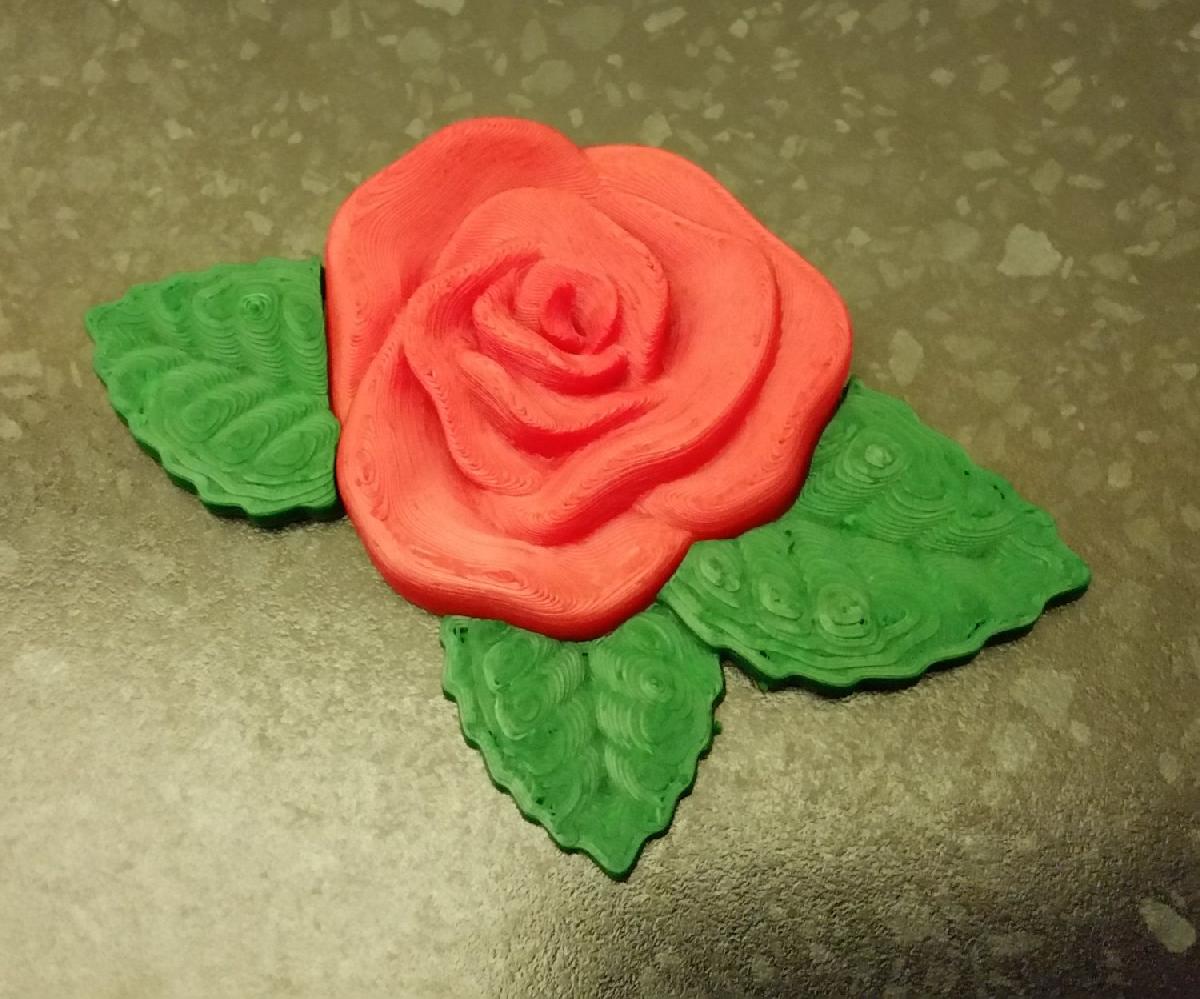 rosa
