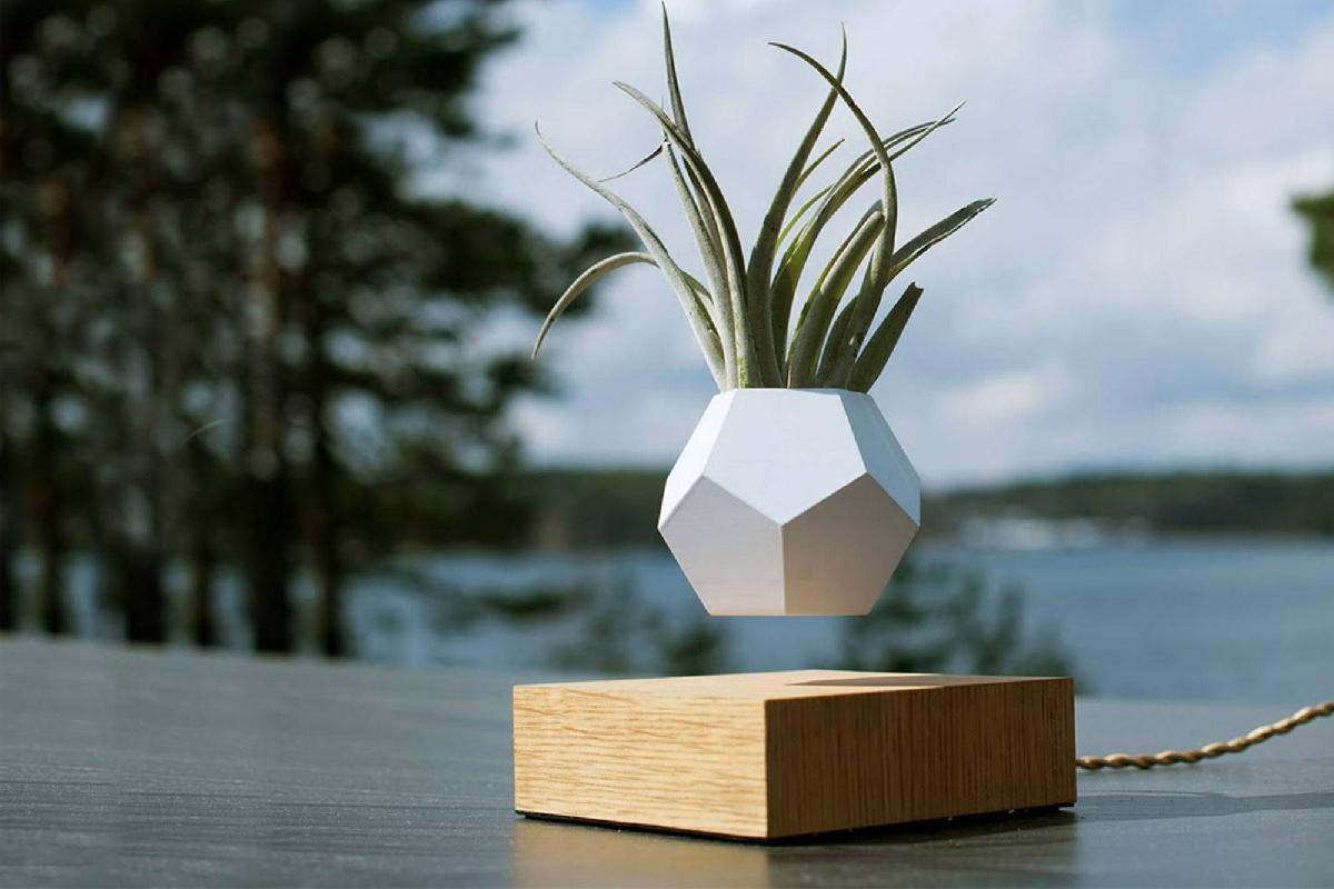Vaso Flutuante