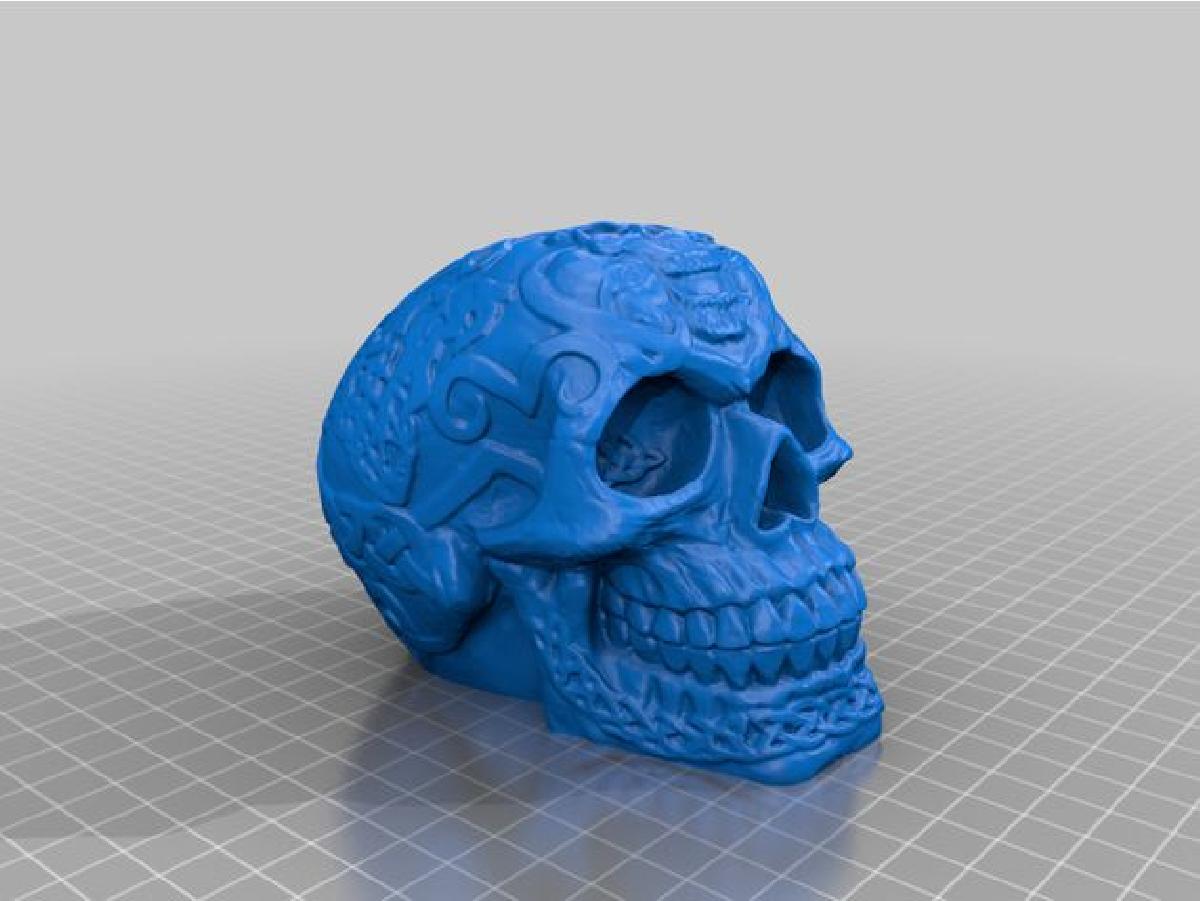 Cranio celta (oco)