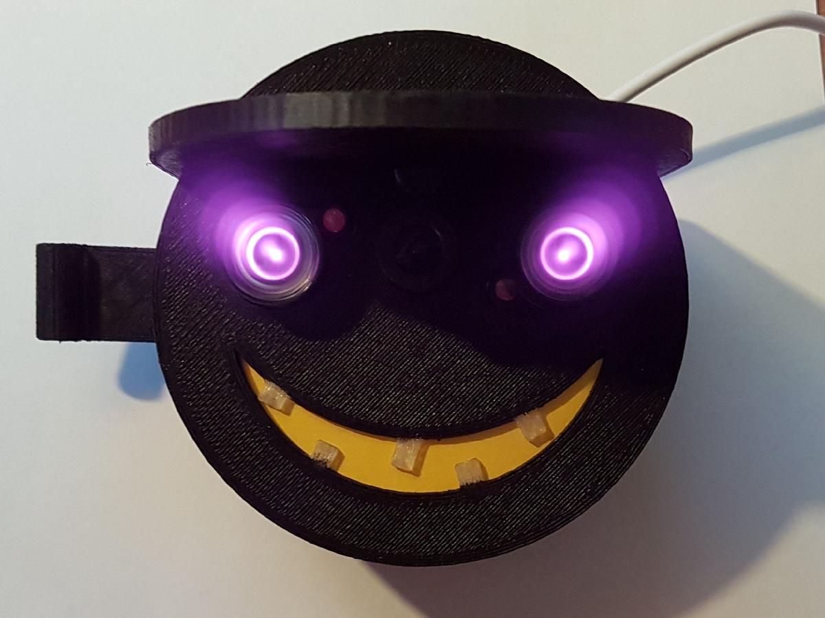 Camera de visao noturna oculta Raspberry Pi Hank
