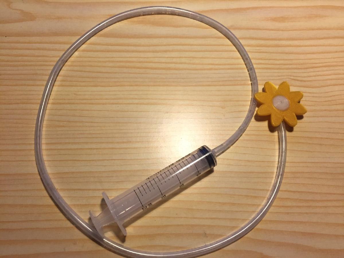 Flor palhaco jorrando