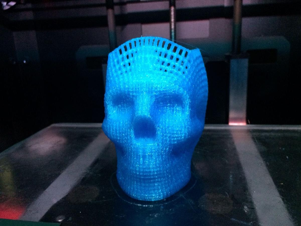 Suporte para lapis em forma de cranio em wireframe (A vida com um laboratorio e boa)