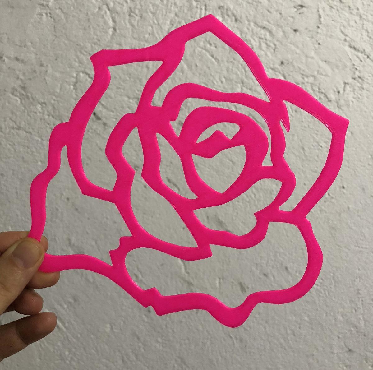 arte de parede/decoracao ROSA BRASILEIRA