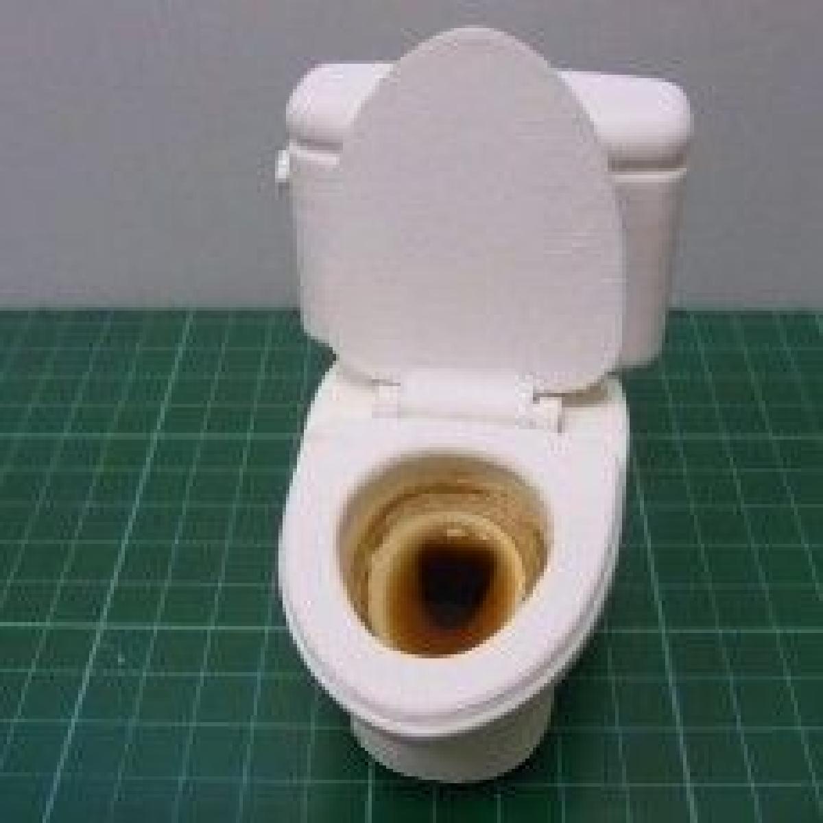 86DUINO   Vaso sanitário