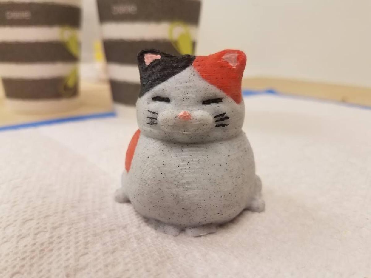 Gato Calico Gordo