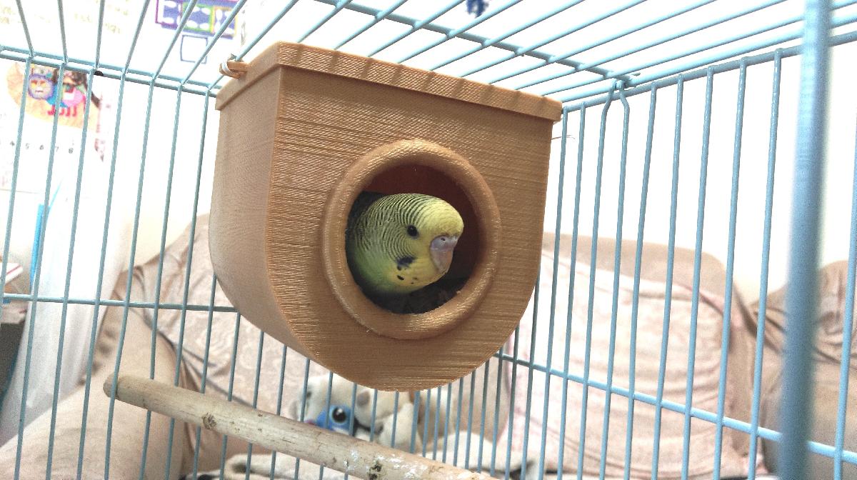 bird house