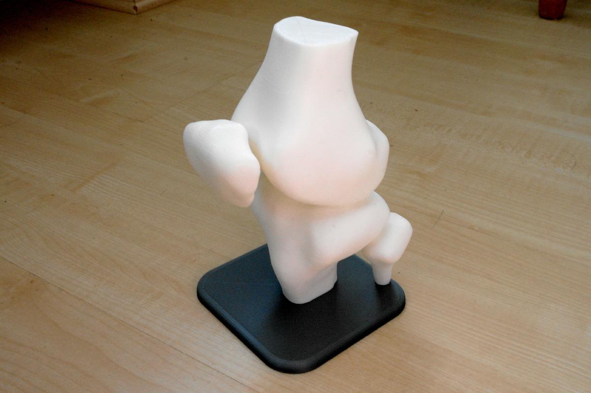 Joelho a partir de dados DICOM de ressonancia magnetica