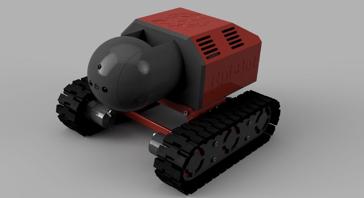 RPi Bot