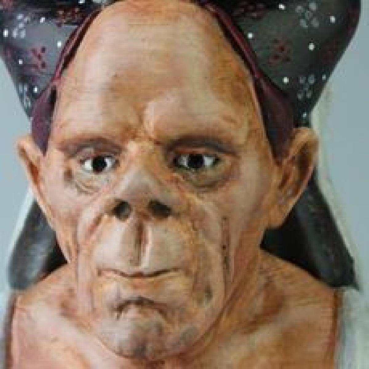 A Duquesa Feia   Colecao Grotesca