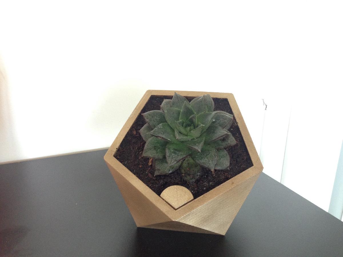 Penta vaso de flores auto regavel 