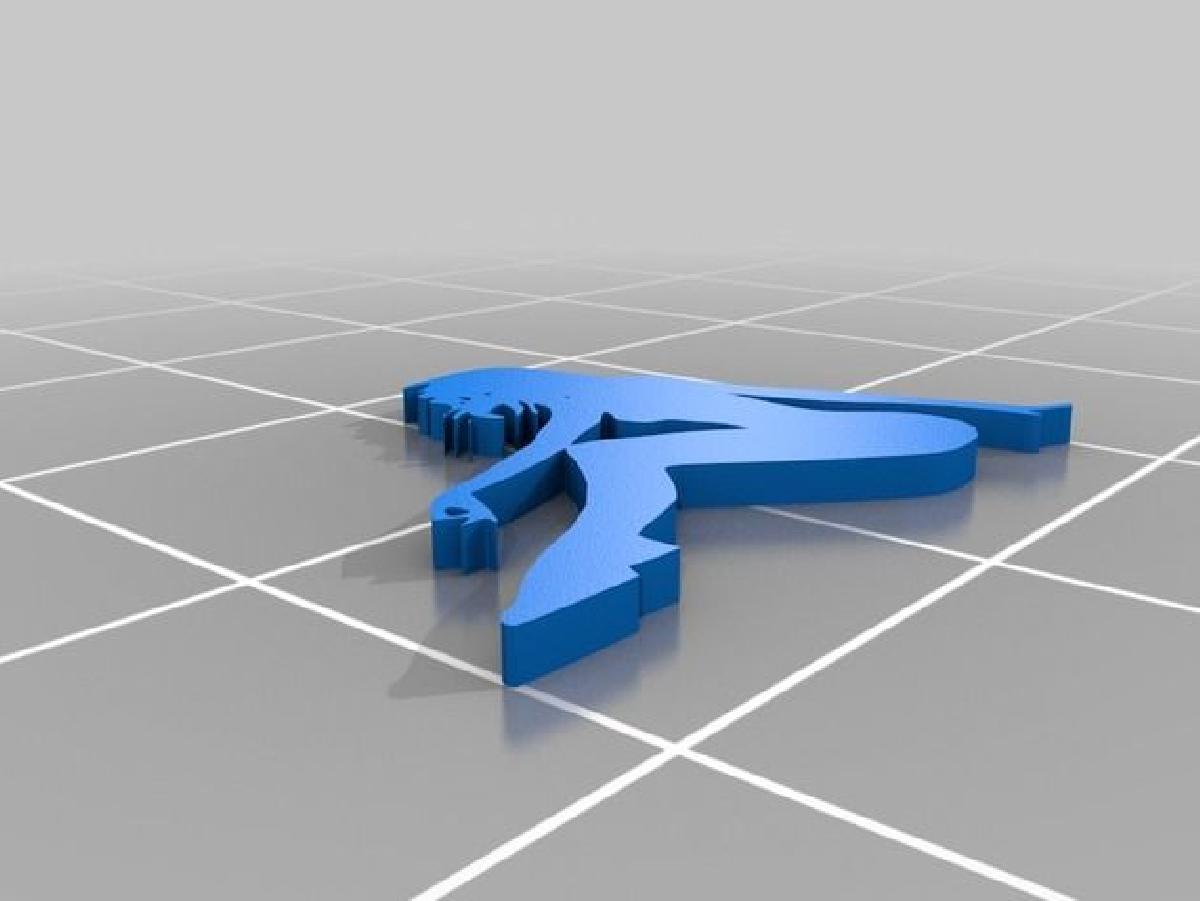 Silhueta Nua ao Vento