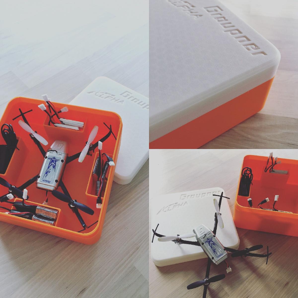 Maleta de transporte Graupner Alpha 110