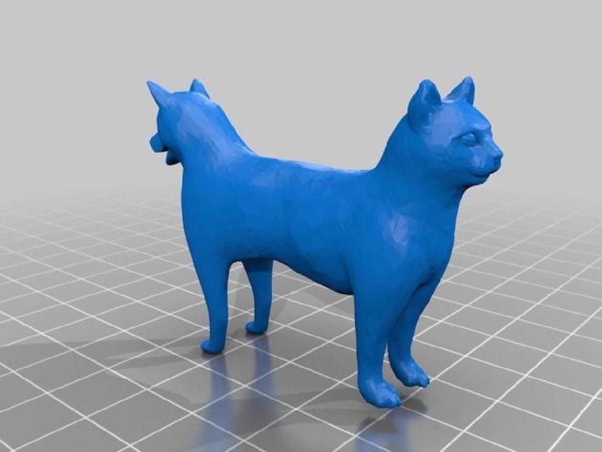 Cachorro e Gato