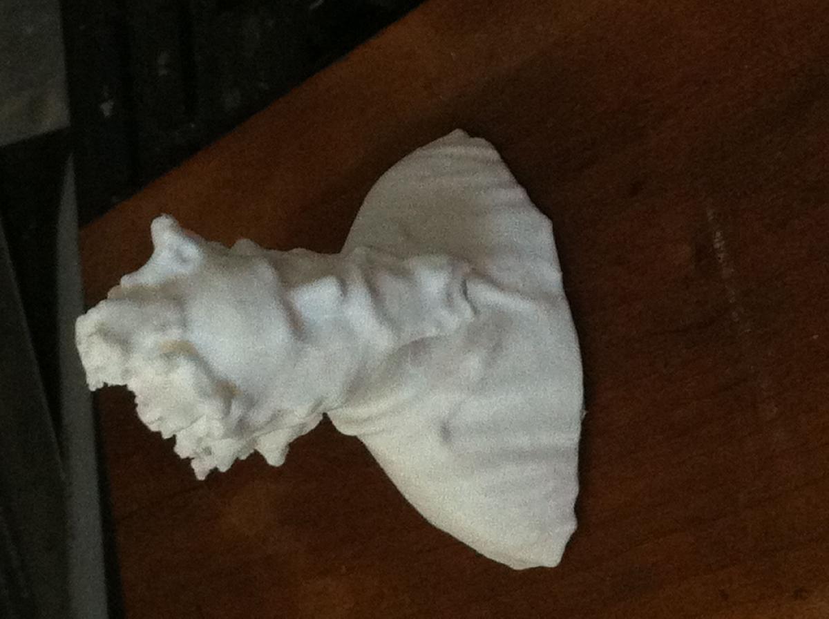 Professor Boris van Galvin