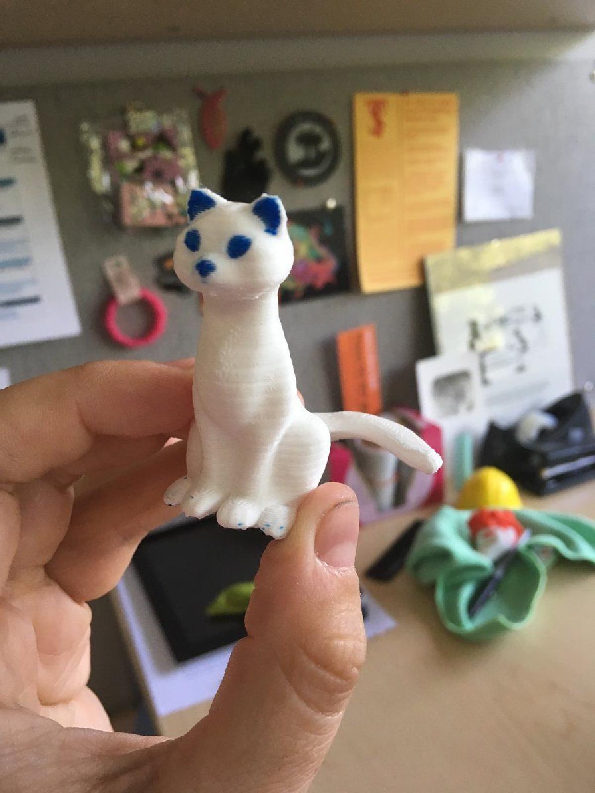 Gato com o Nariz Rosa Pequeno