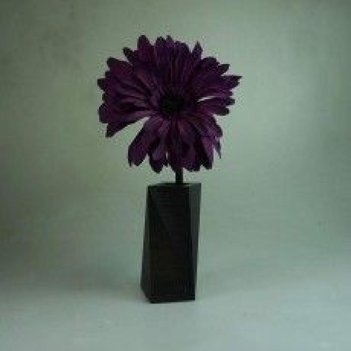 o vaso perfeito da papoula