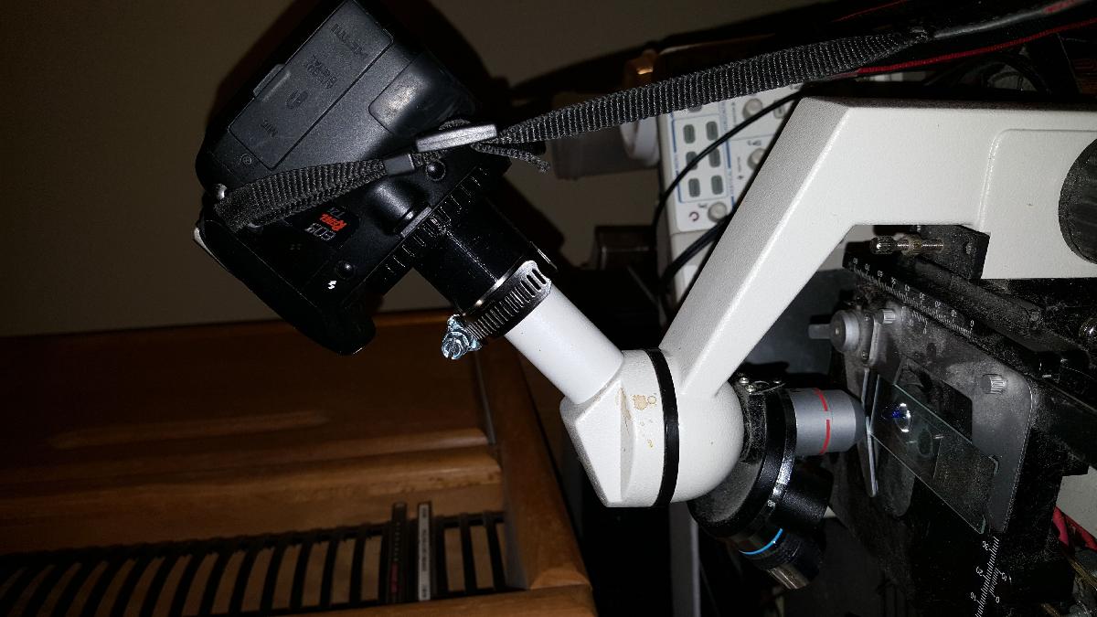 Adaptador Canon EF para microscopio Amscope M600A