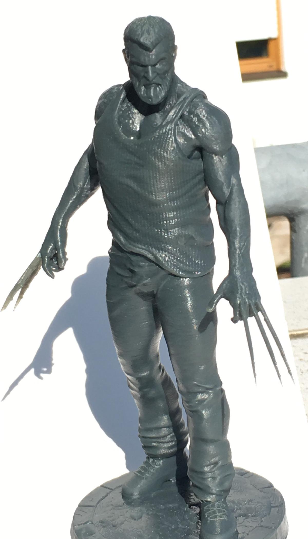 Logan velho homem preparado para D7