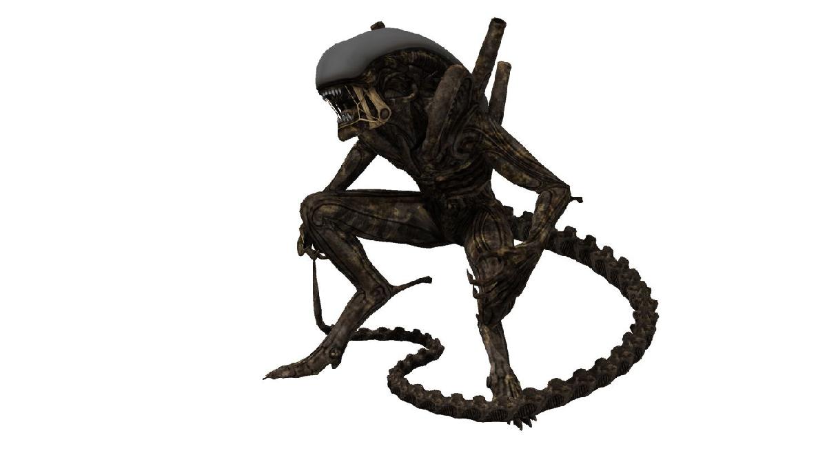 Xenomorph   Drone Guerreiro Alienigena