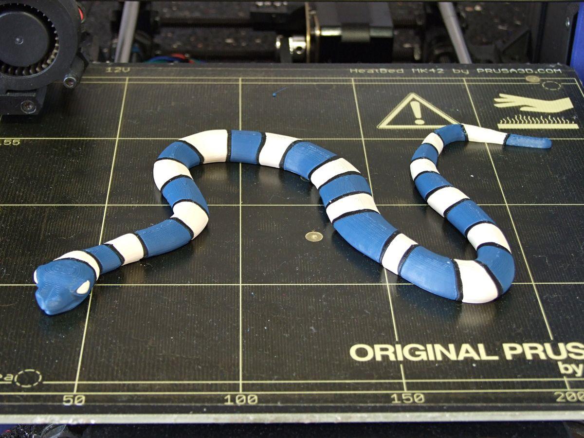 cobra listrada (multicolorida)