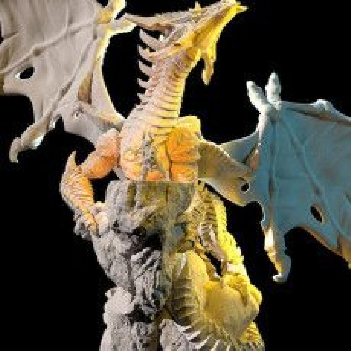 Dragao Fafnir