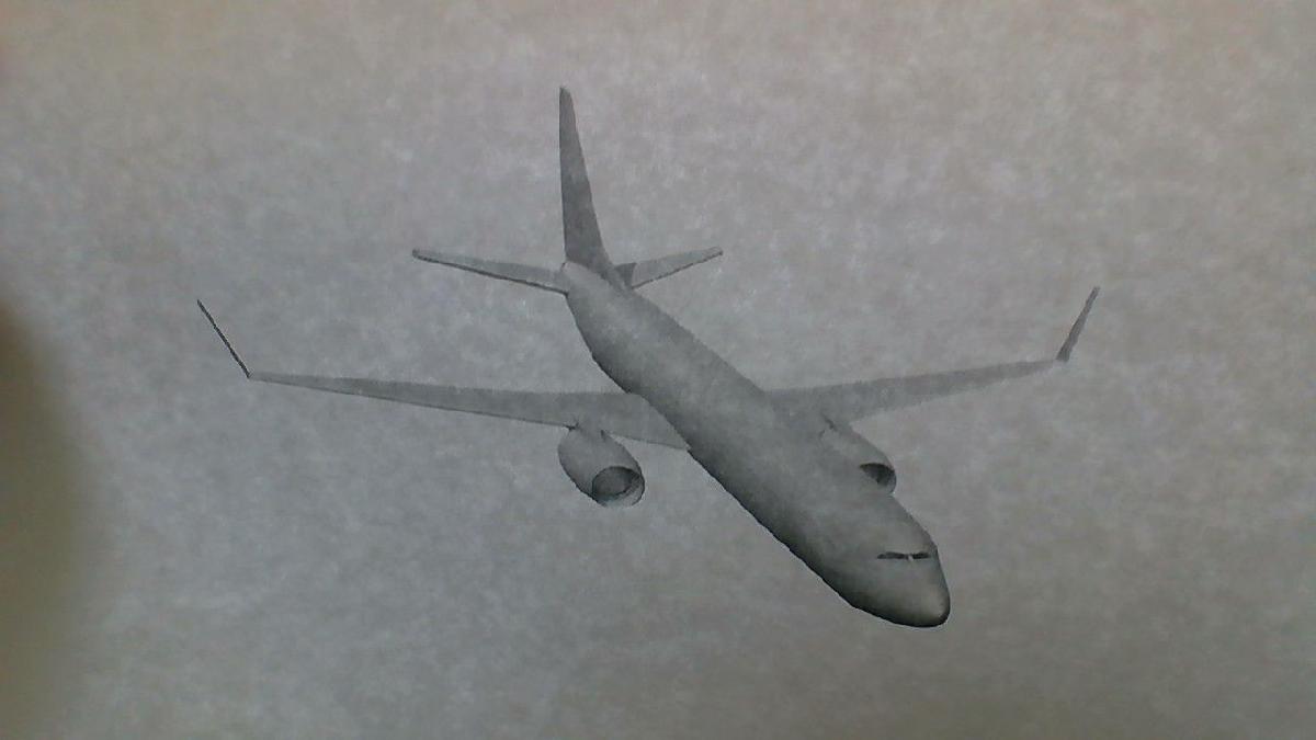 Boeing 737 800