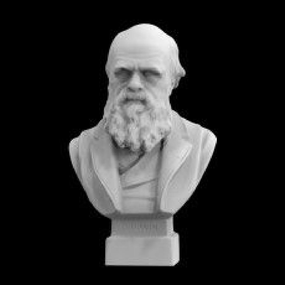 Busto de Charles Darwin