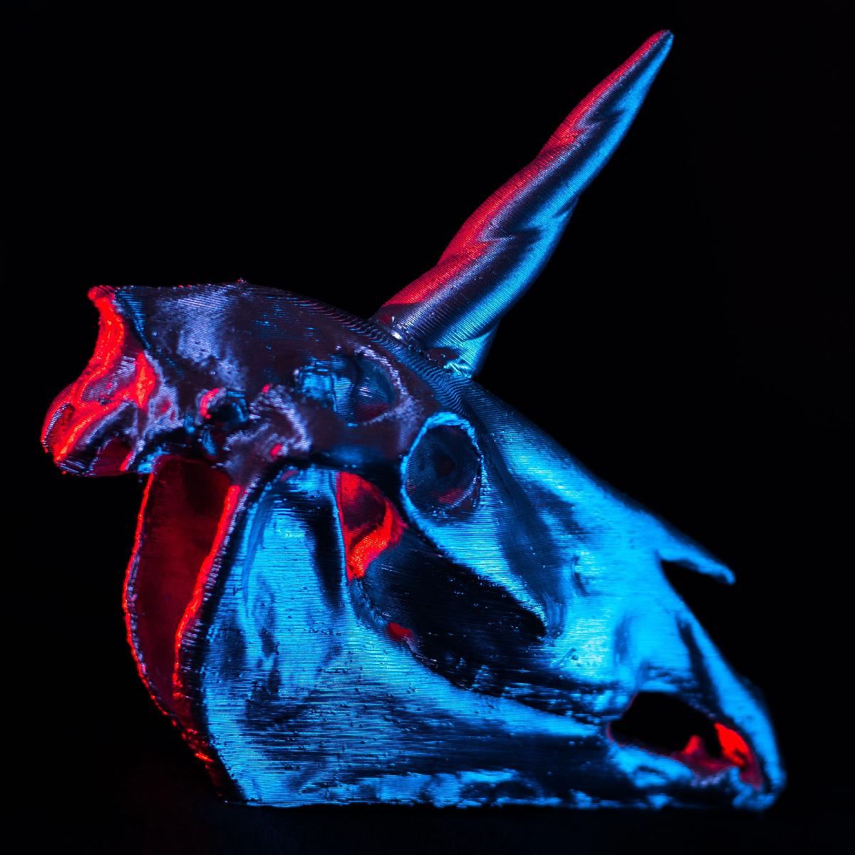 Cranio de unicornio
