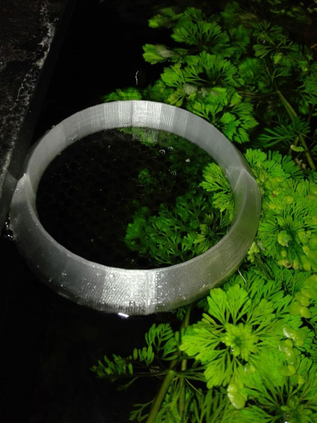 Aquario   Alimentador flutuante para peixes (Personalizar)