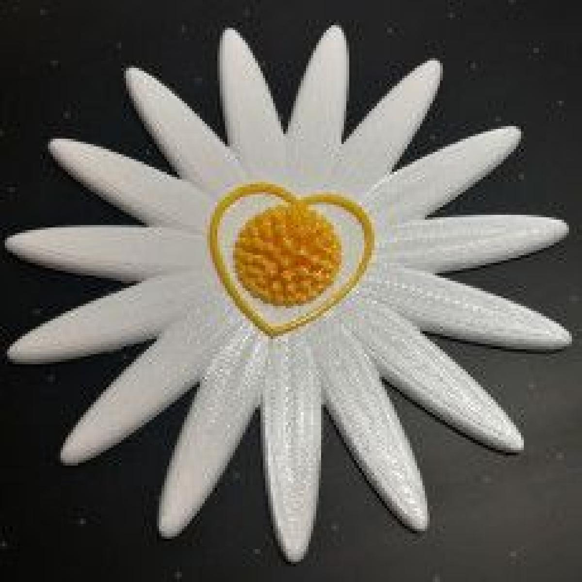 Flor do Amor Daisy