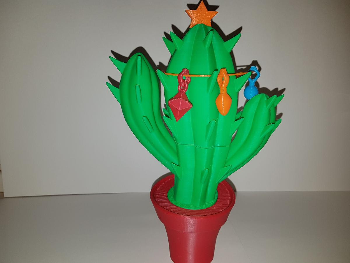 Cacto de Natal