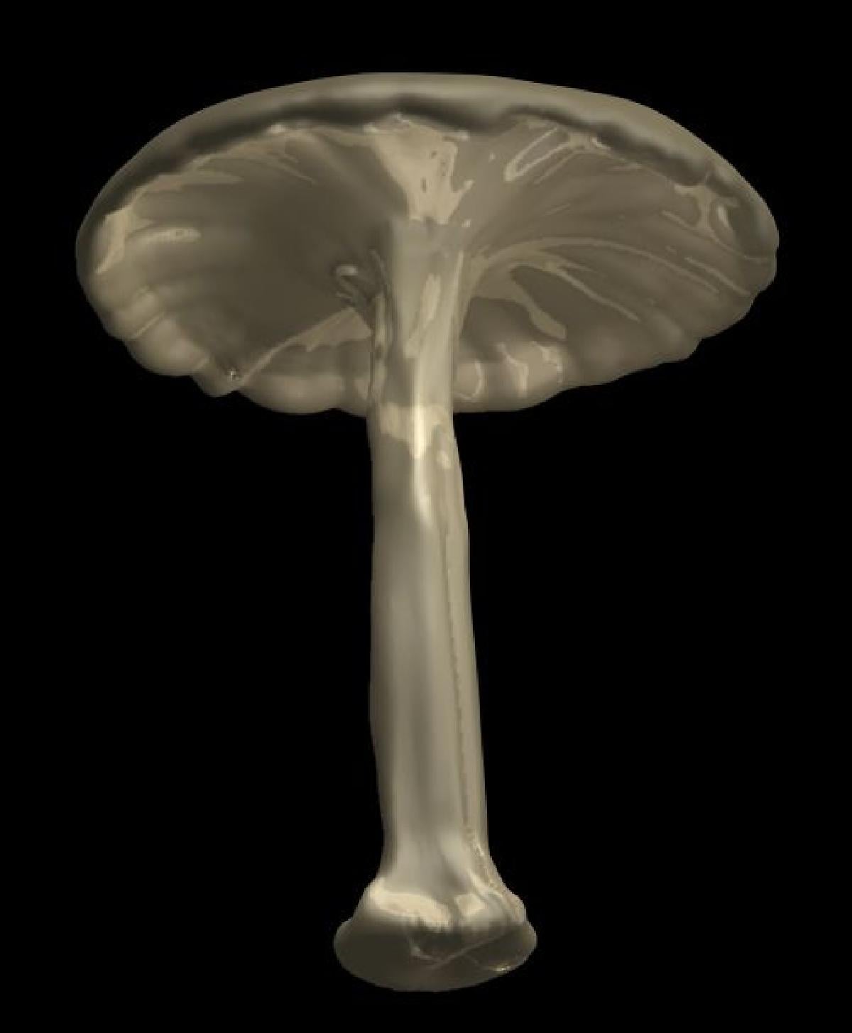 mushroom 
