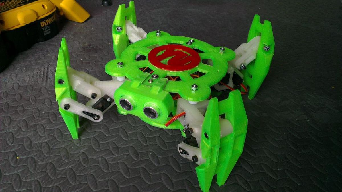 tartaruga   quadrupede