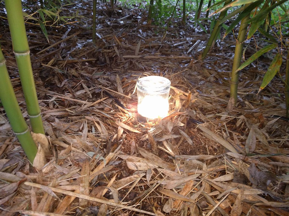 Suporte para copo iluminado