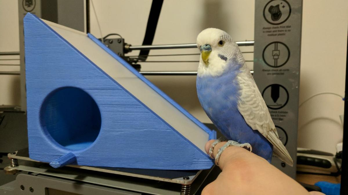 A casa do Bluey