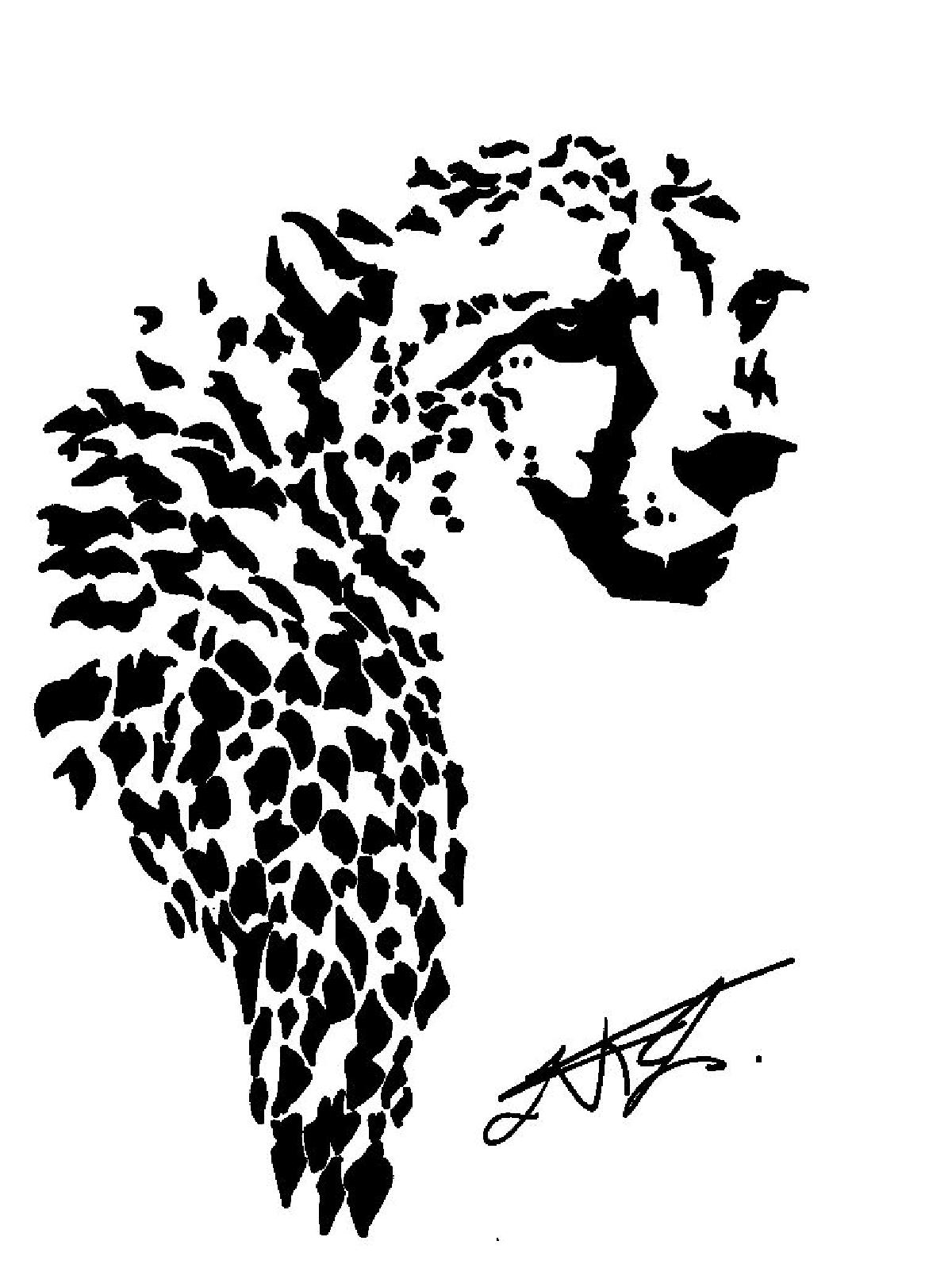 Chita (Dragao Grafin)