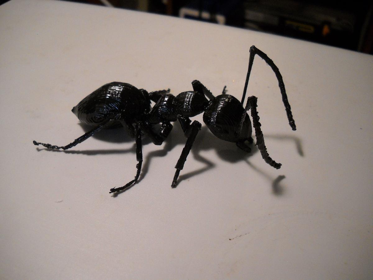 formiga gigante