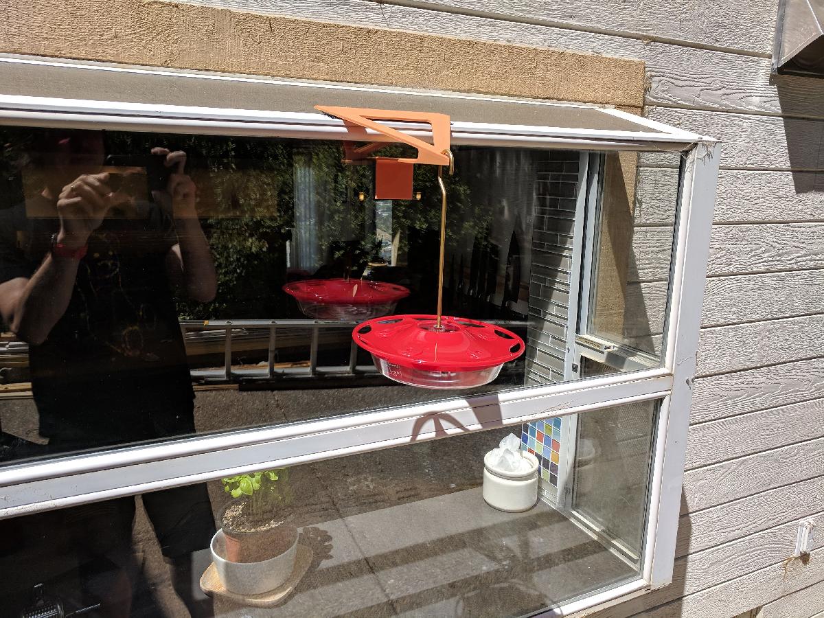 alimentador de passaros para janela